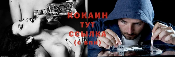 дживик Пестово