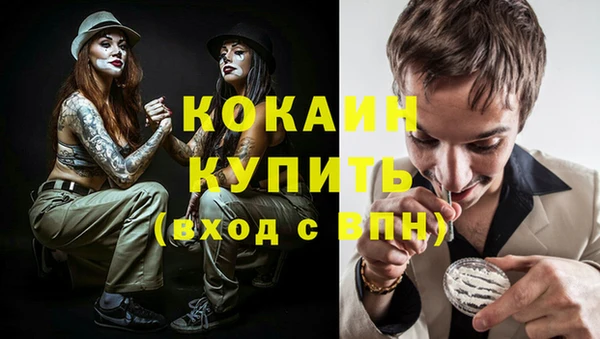 соль ск Пересвет