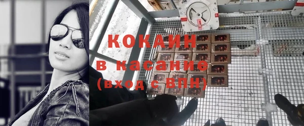 дживик Пестово