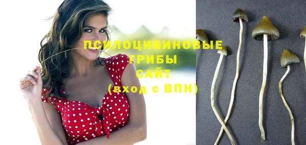 дживик Пестово