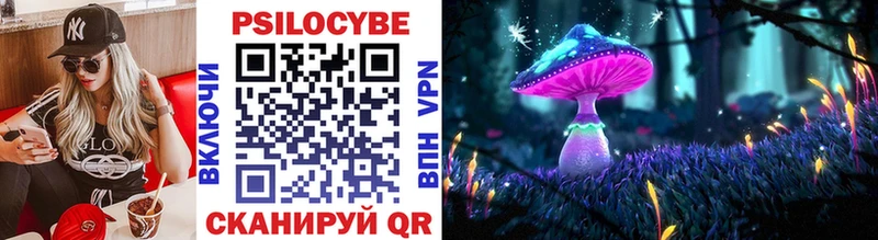 Псилоцибиновые грибы Psilocybine cubensis  Купить закладки  Благовещенск 