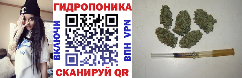 Купить  Благовещенск  Марихуана ГИДРОПОН 